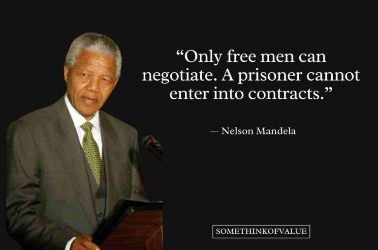 SOME LINES ABOUT NELSON MANDELA visual data 3