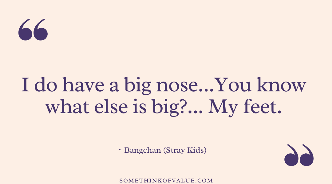 Funny Stray Kids Quotes