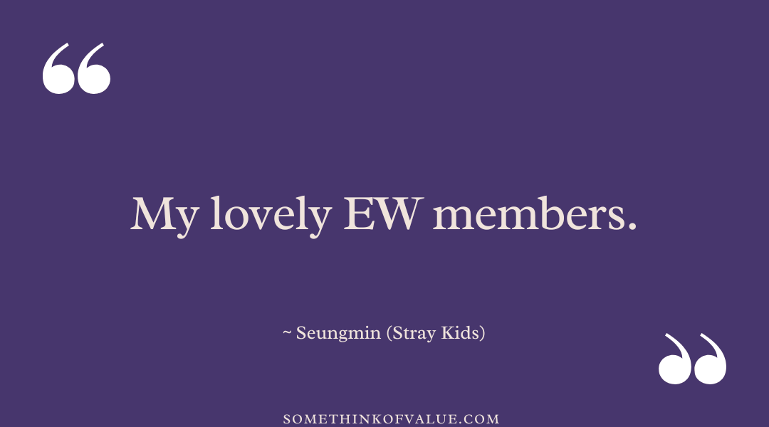 Funny Stray Kids Quotes