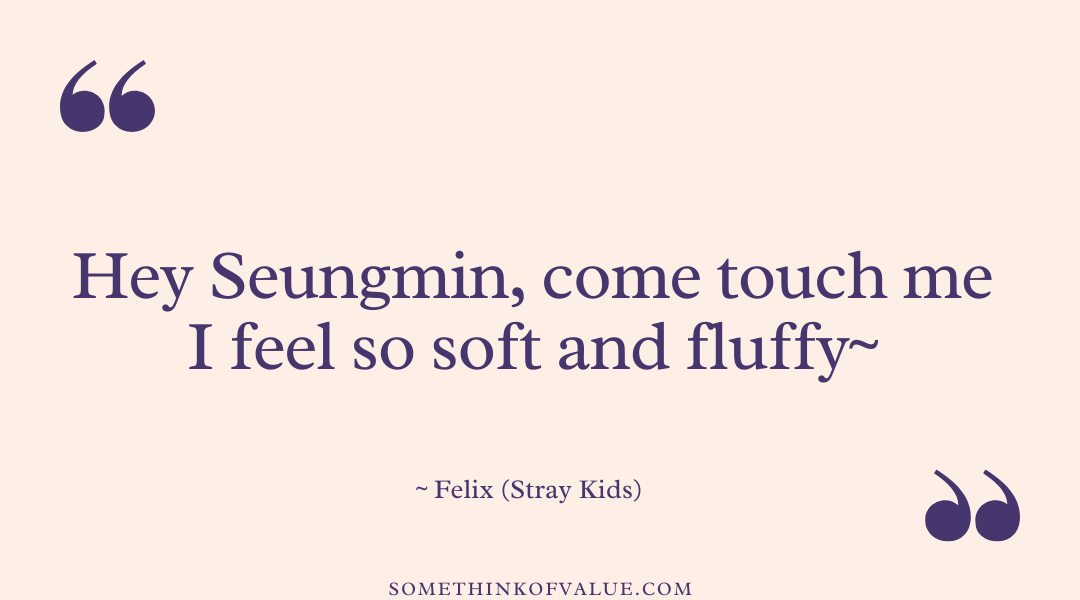 Funny Stray Kids Quotes