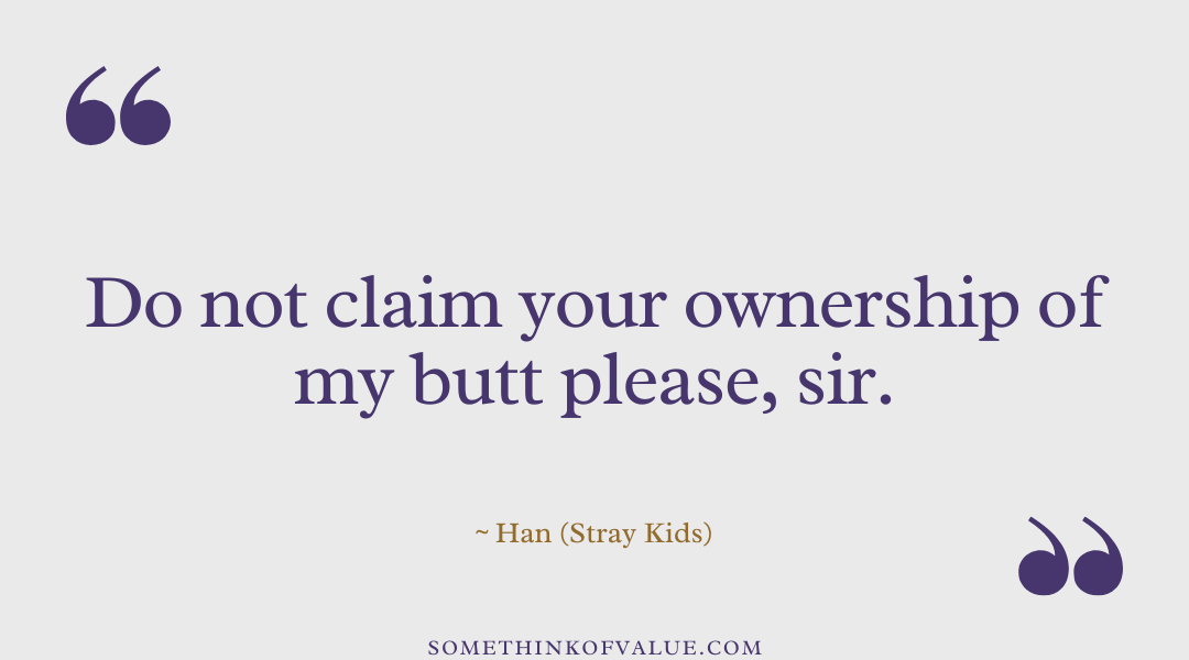 Funny Stray Kids Quotes