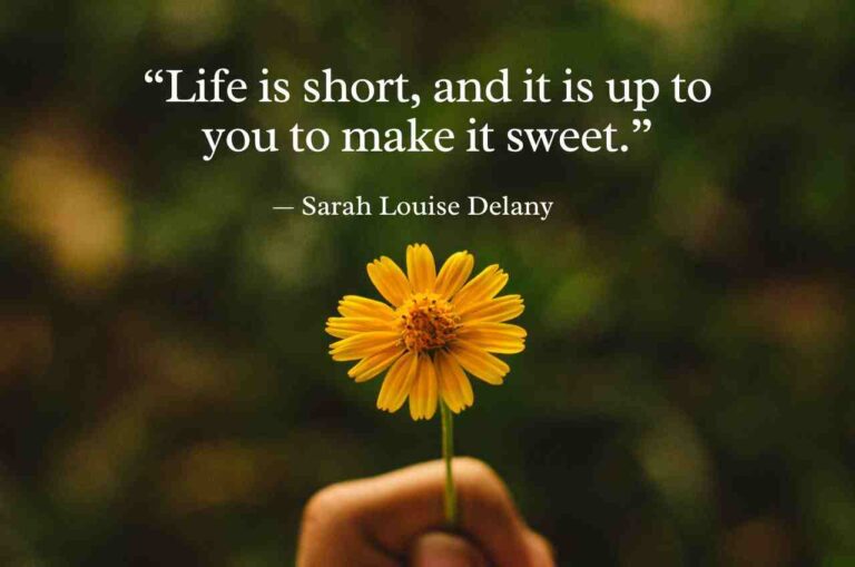 life quotes